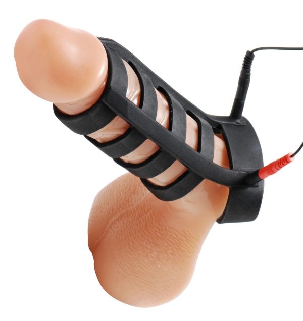 Electro Cock Cage