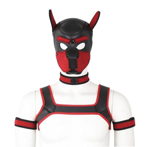 Fetish Harness Mask